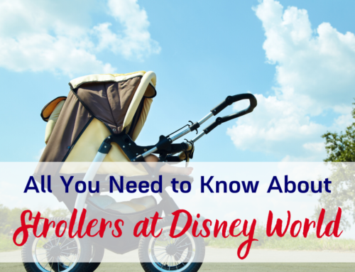 All You Need to Know About Strollers at Disney World